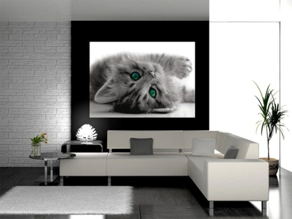 φωτοταπετσαρια τοιχου γατα 1-2605