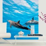 φωτοταπετσαρια τοιχου δελφινια MS0218