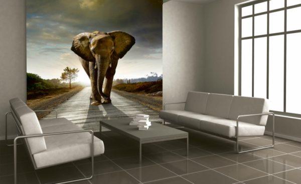 φωτοταπετσαρια τοιχου ελεφαντας MS0225