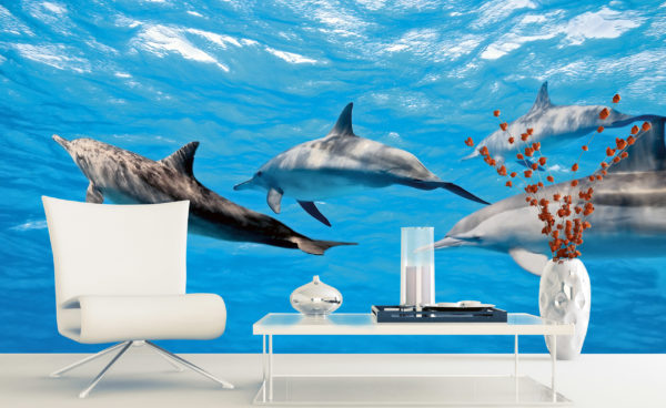 φωτοταπετσαρια τοιχου δελφινια MS0218