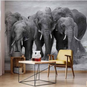 φωτοταπετσαρια τοιχου ελεφαντες 11578