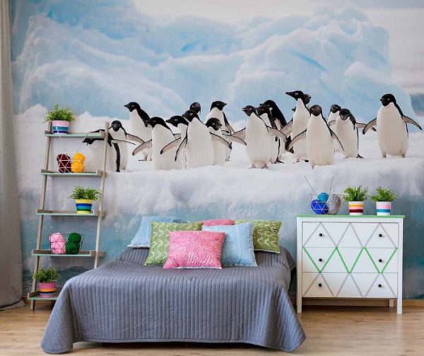 φωτοταπετσαρια τοιχου πιγκουινοι 2726