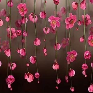 φωτοταπετσαρια τοιχου λουλουδια PR12-21