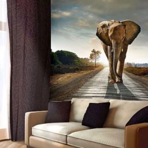 φωτοταπετσαρια τοιχου ελεφαντας PR8-28